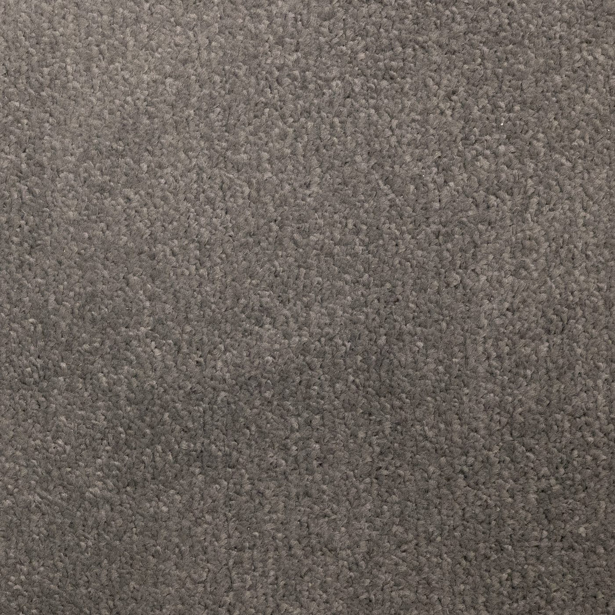 Flooring Wholesale Prime Smoke Carpet