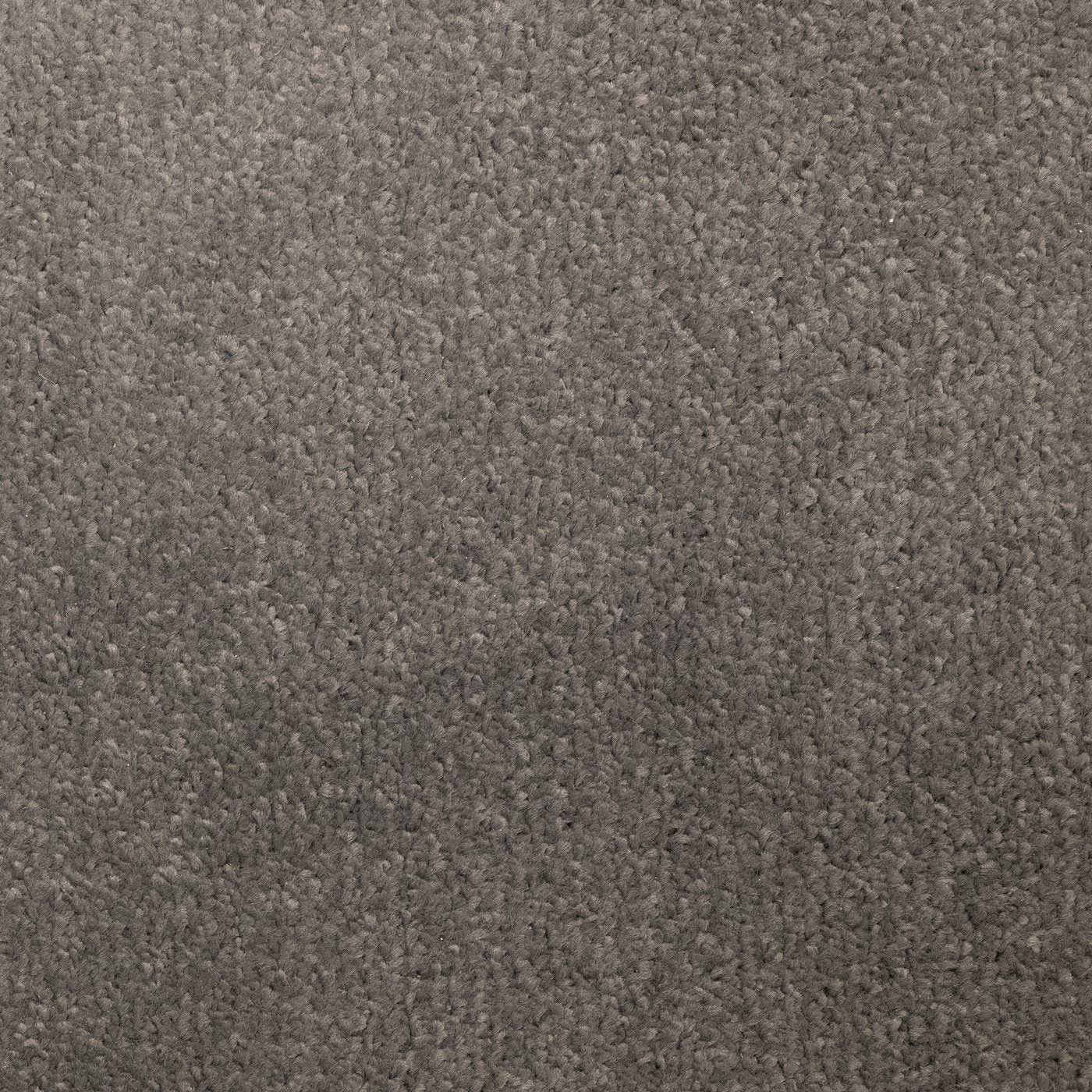 Flooring Wholesale Prime Smoke Carpet