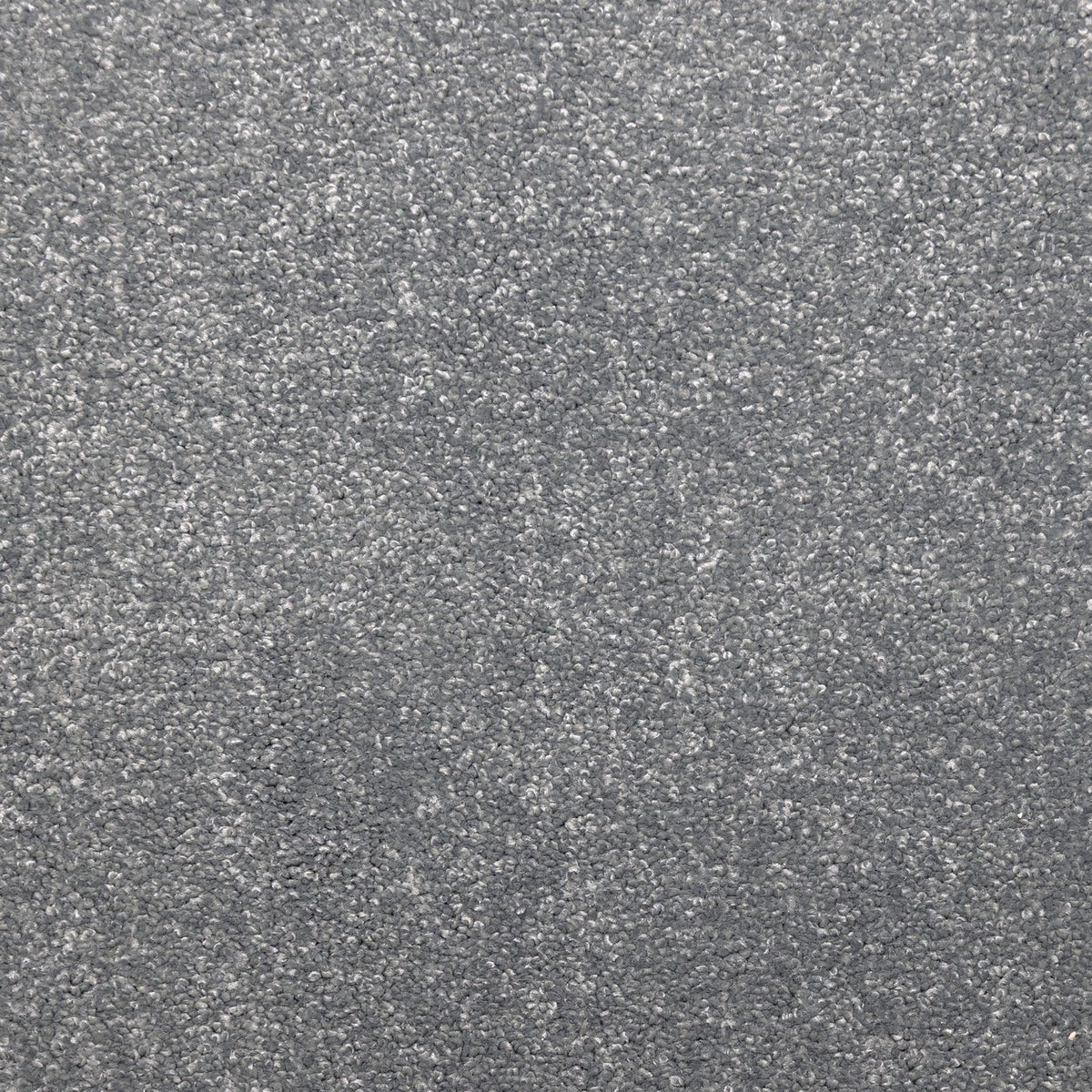Flooring Wholesale Prime Steel Grey Carpet