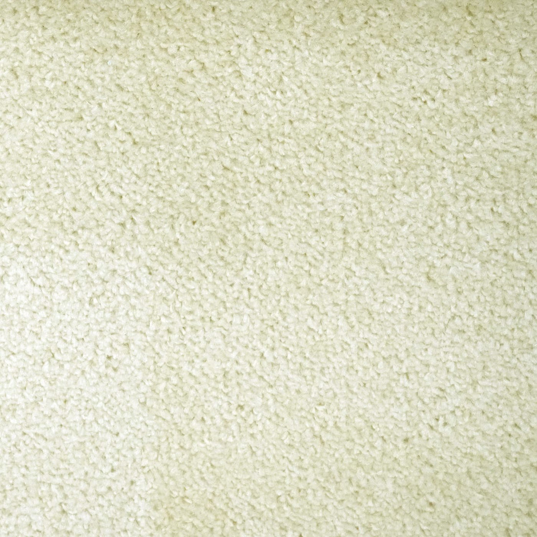 Flooring Wholesale Prime Vanilla Carpet