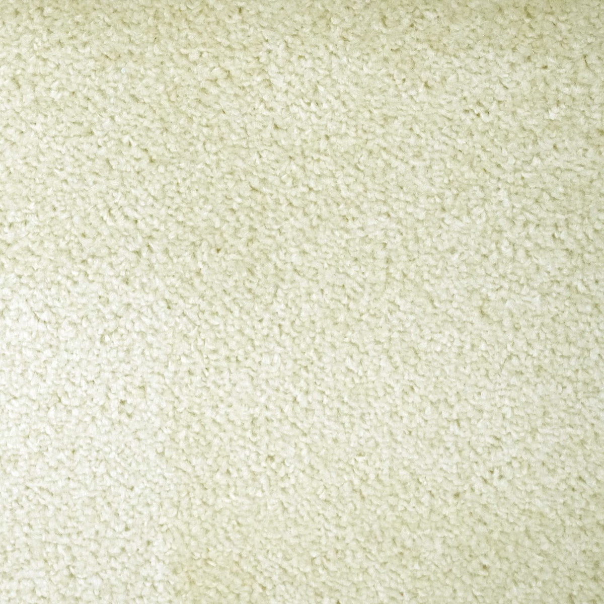 Flooring Wholesale Prime Vanilla Carpet