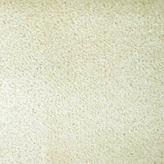 Flooring Wholesale Prime Vanilla Carpet