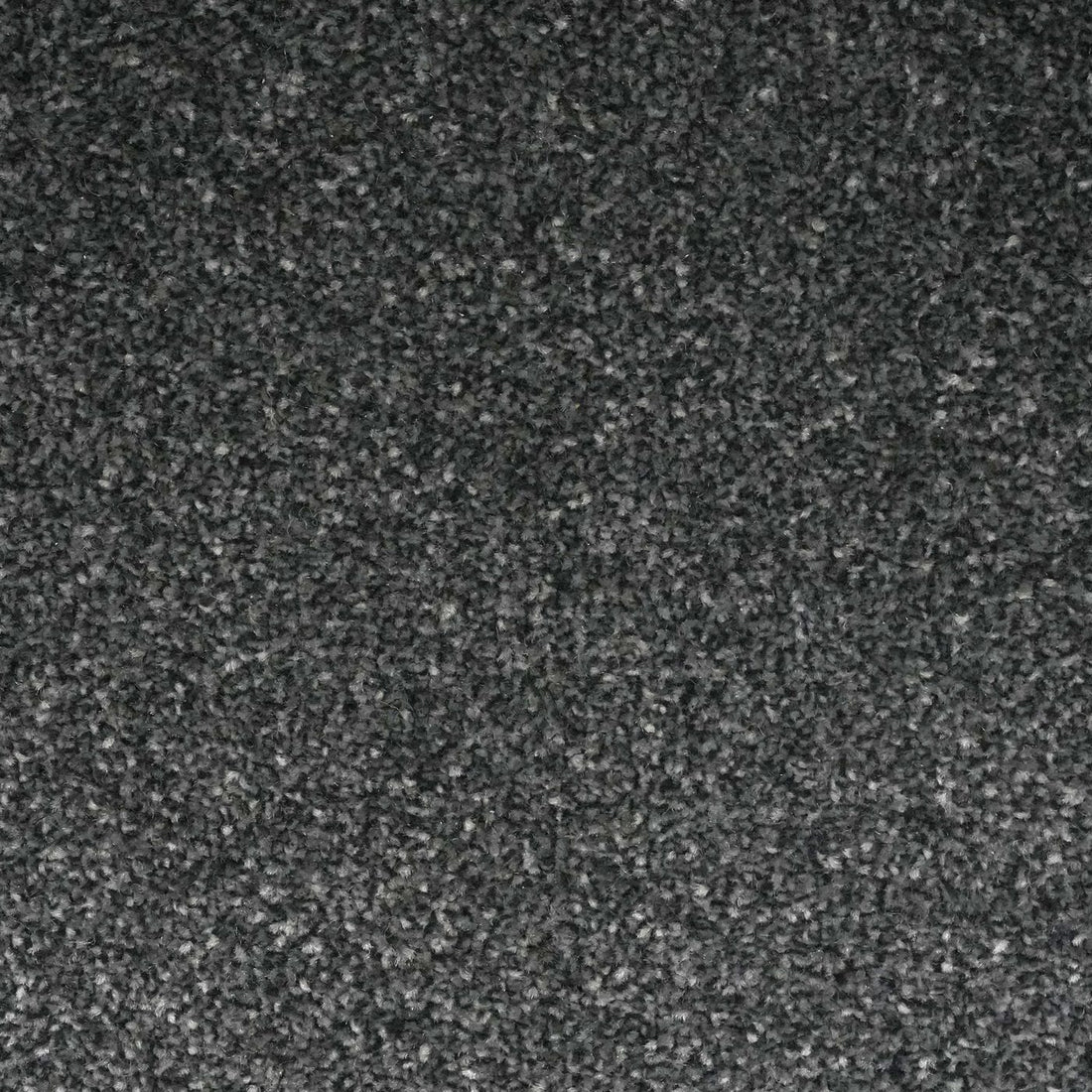 Flooring Wholesale Veneto Elite Gunmetal Grey Carpet