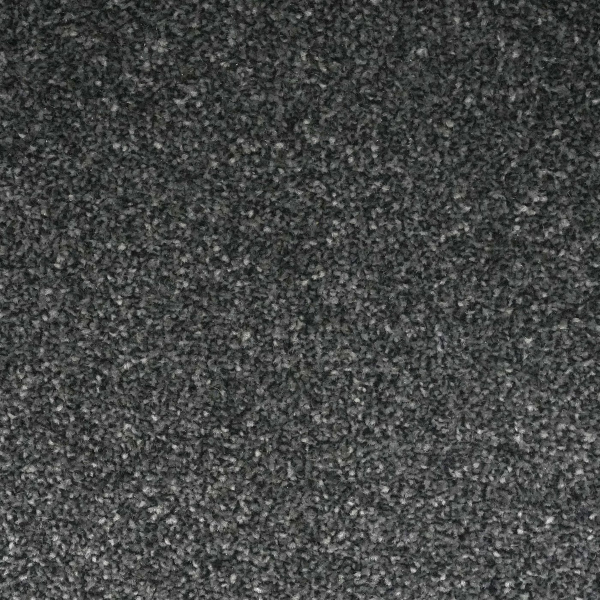 Flooring Wholesale Veneto Elite Gunmetal Grey Carpet