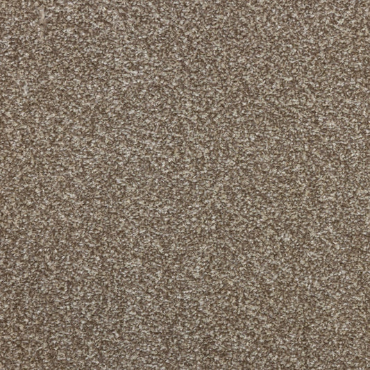 Flooring Wholesale Veneto Elite Latte Carpet