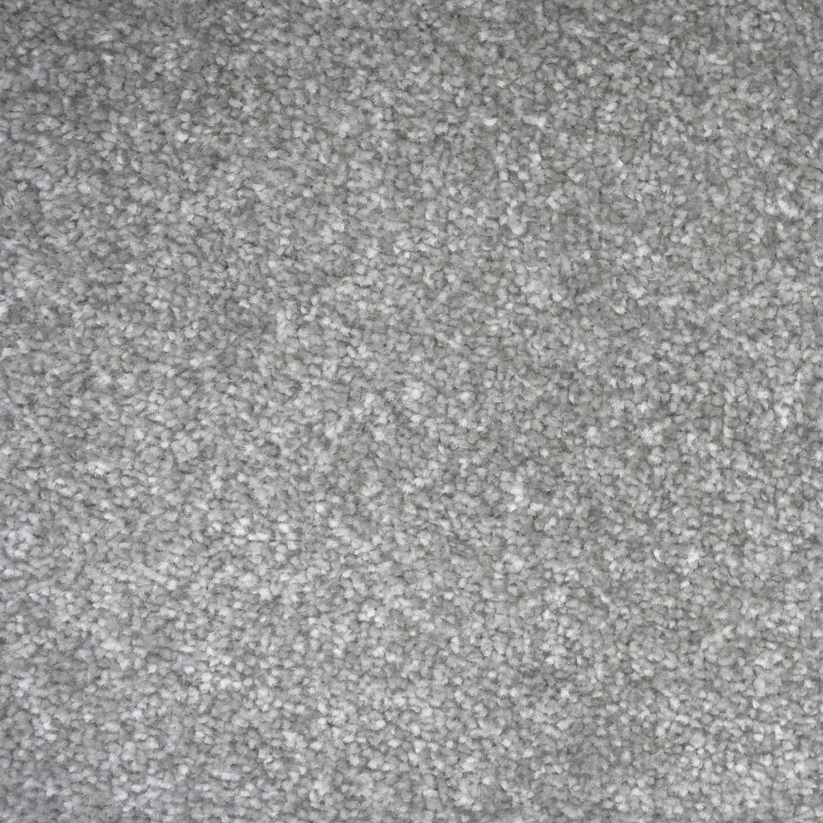 Flooring Wholesale Veneto Elite Misty Grey Carpet