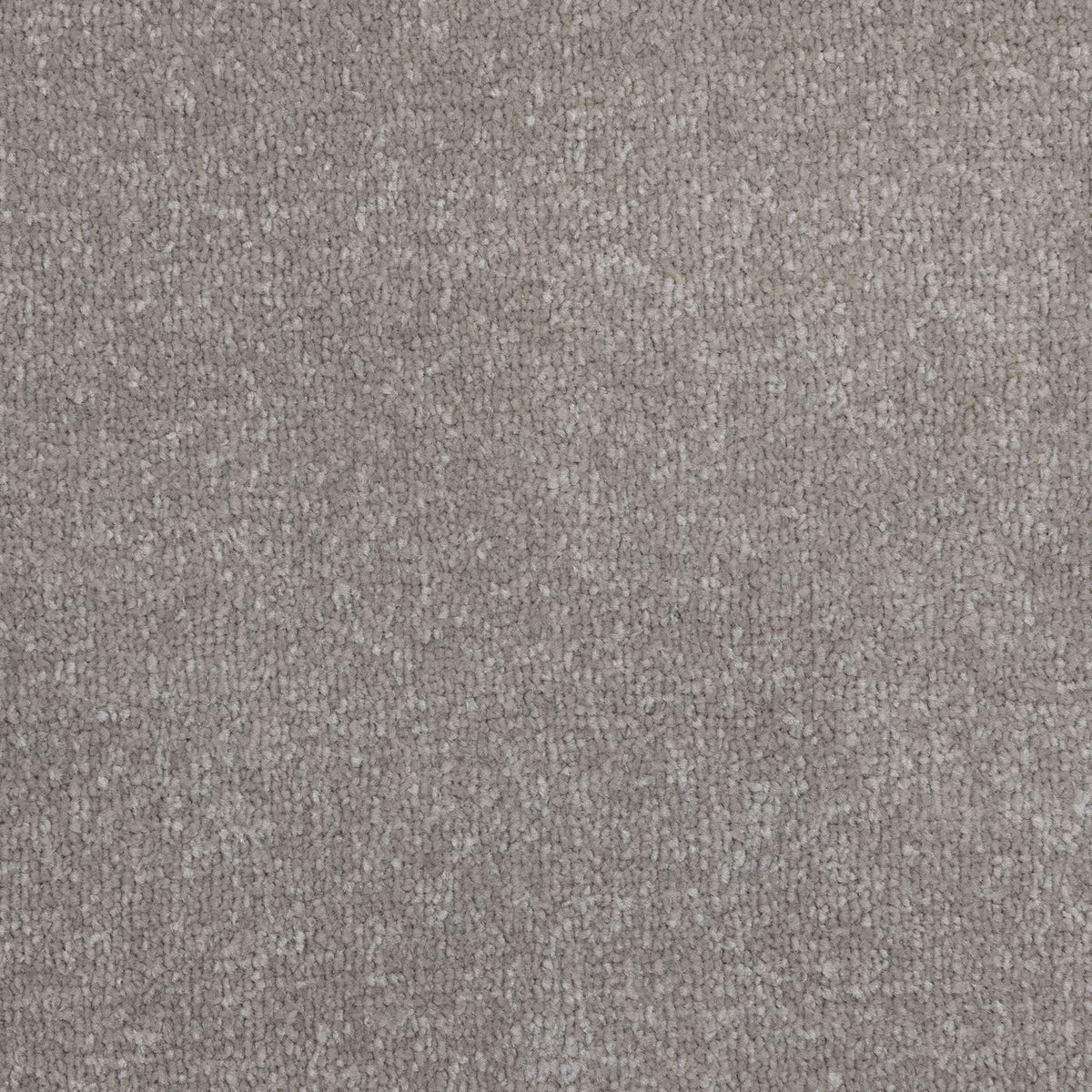 Flooring Wholesale Veneto Elite Mushroom Carpet
