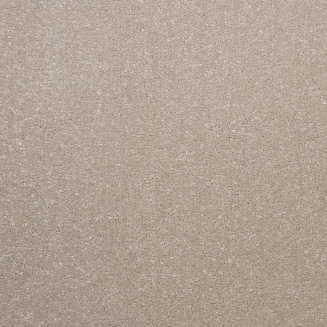 Flooring Wholesale Veneto Elite Sea Shell Carpet