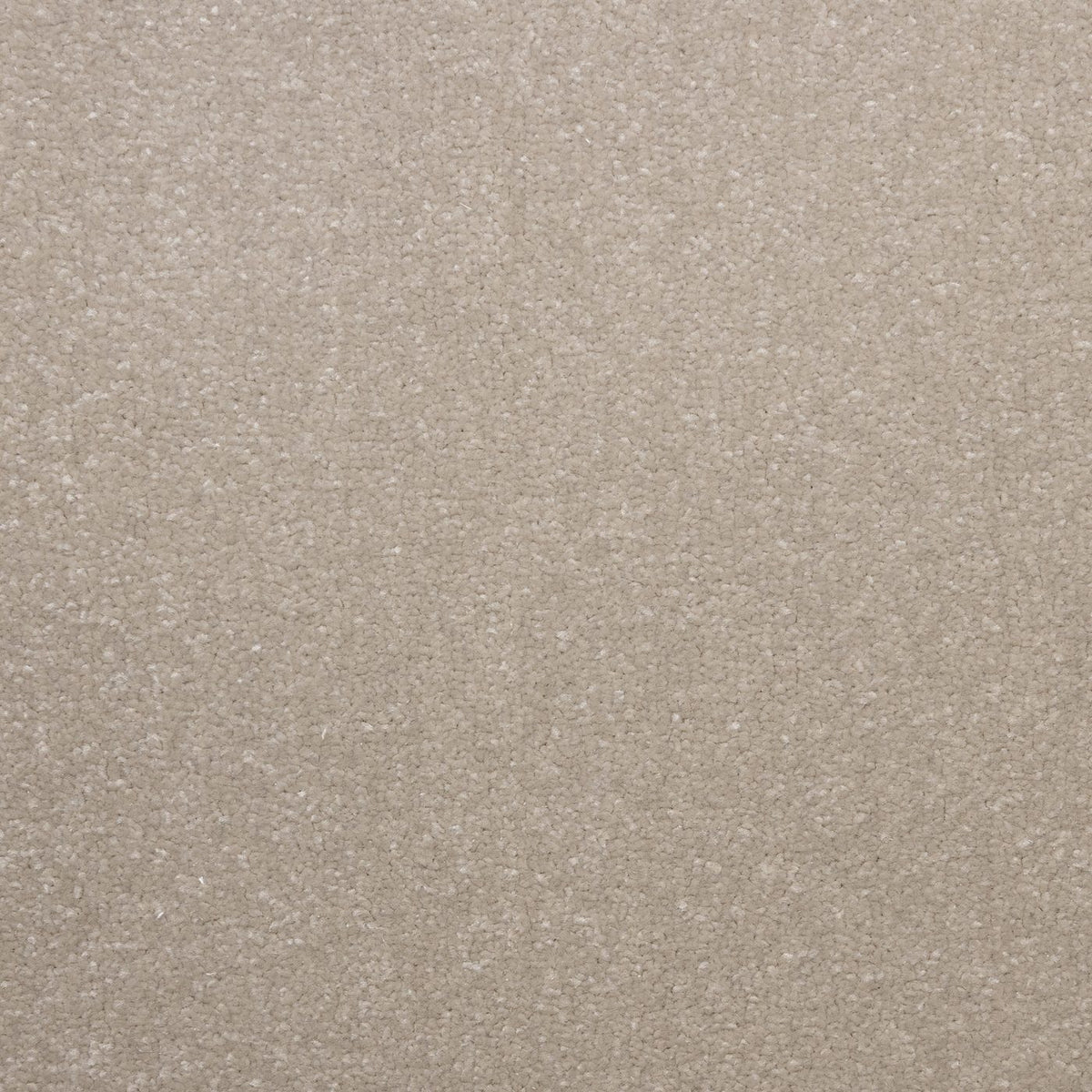 Flooring Wholesale Veneto Elite Sea Shell Carpet