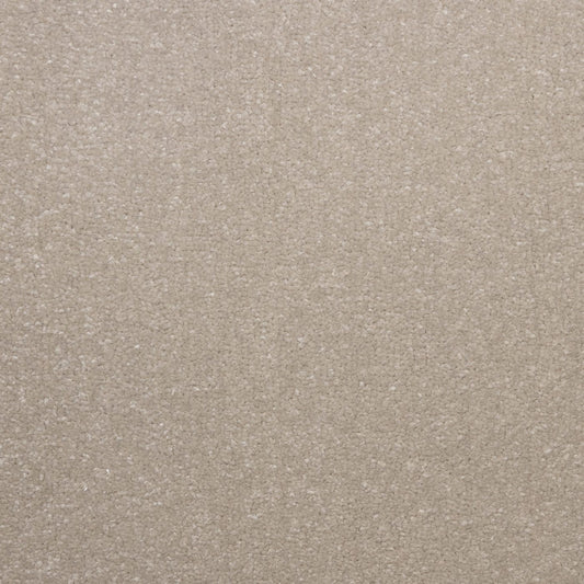 Flooring Wholesale Veneto Elite Sea Shell Carpet