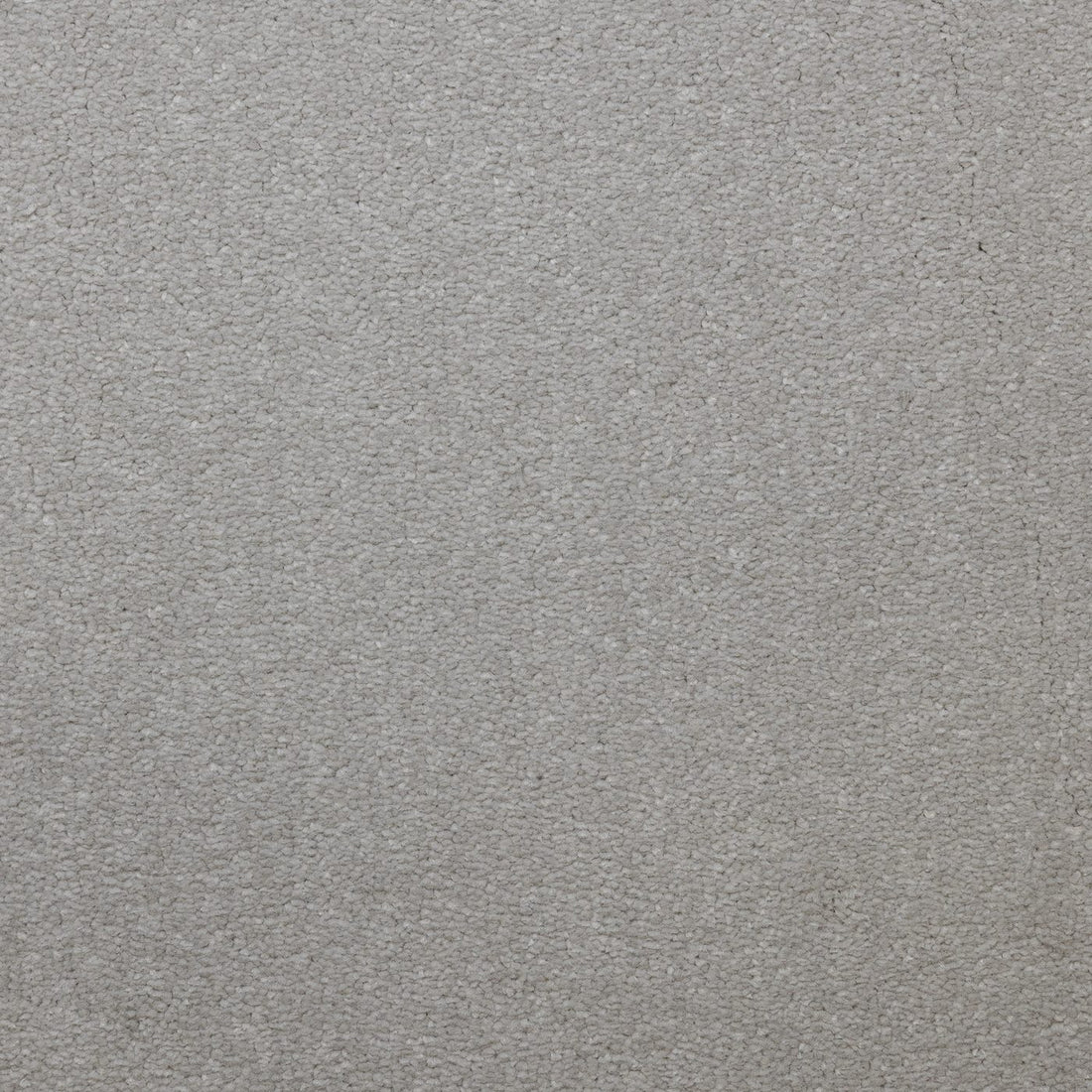Flooring Wholesale Veneto Elite Snowdrift Carpet