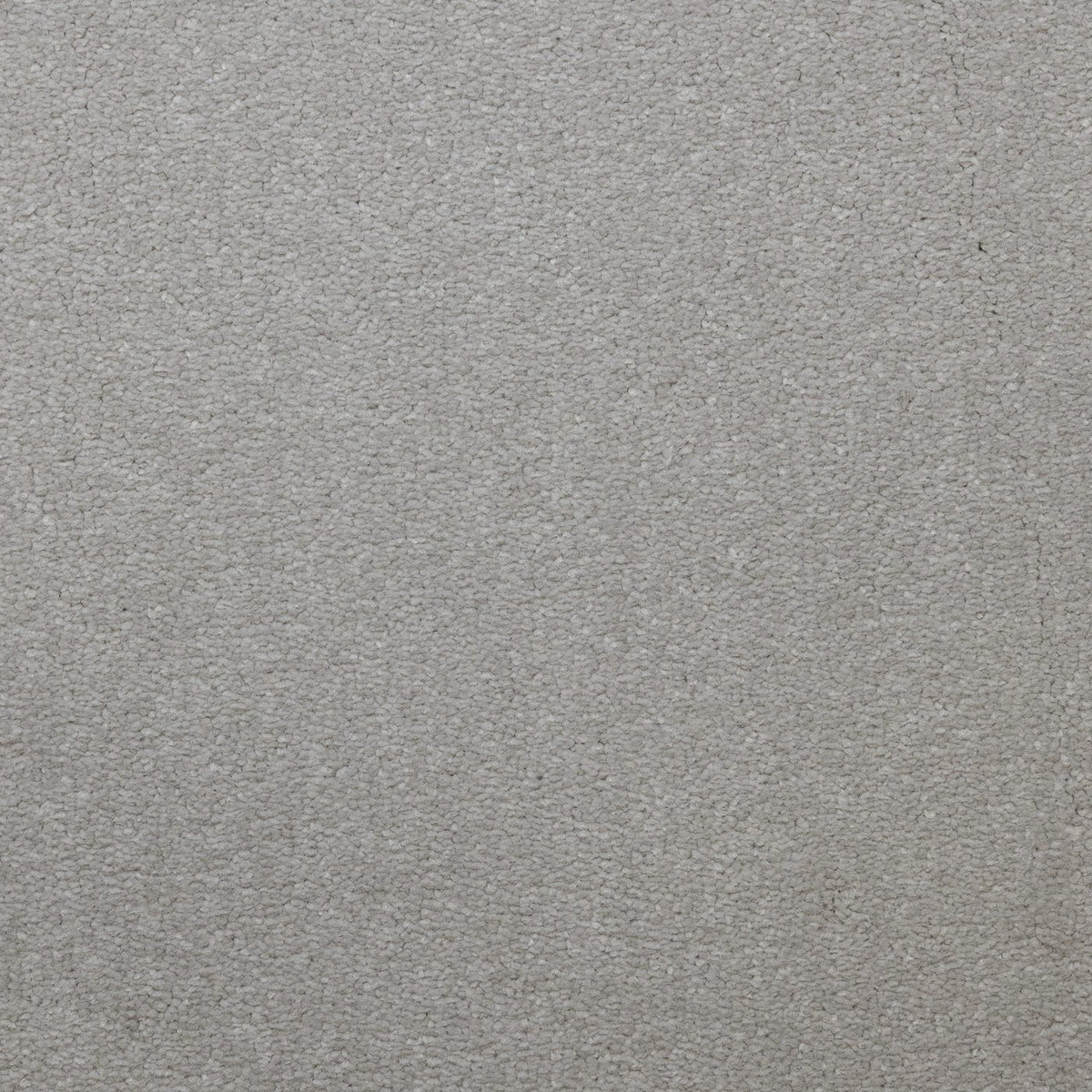 Flooring Wholesale Veneto Elite Snowdrift Carpet