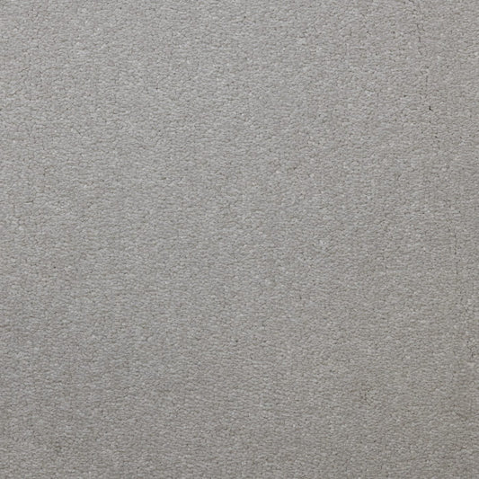Flooring Wholesale Veneto Elite Snowdrift Carpet
