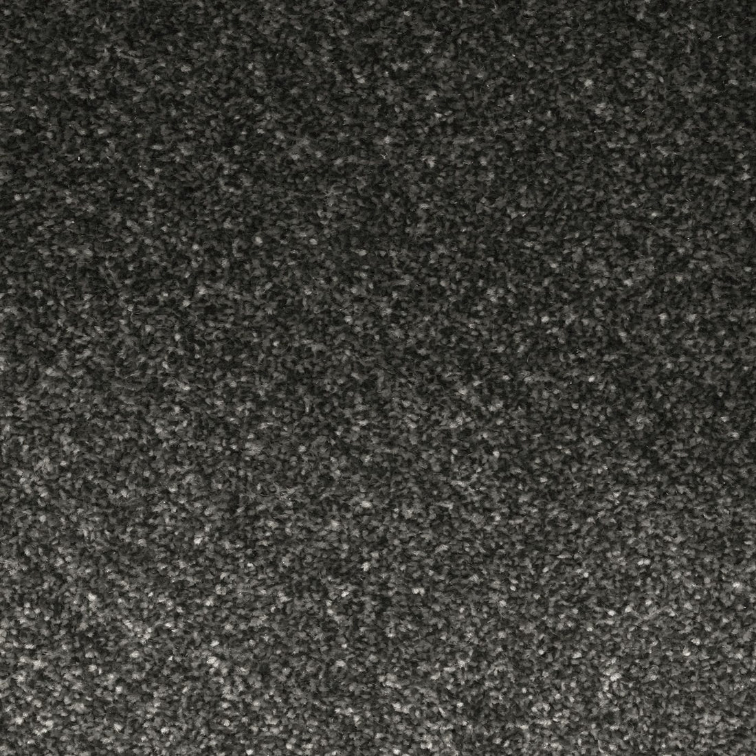 Flooring Wholesale Veneto Elite Star Grey Carpet