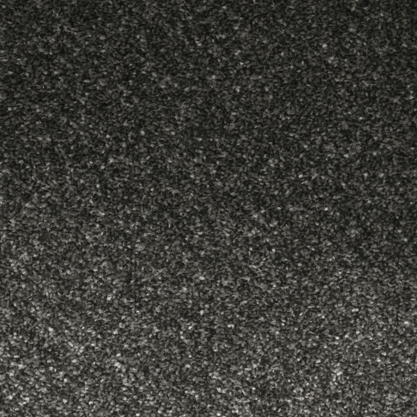 Flooring Wholesale Veneto Elite Star Grey Carpet