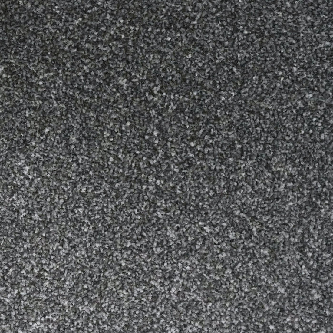 Flooring Wholesale Veneto Elite Steel Grey Carpet