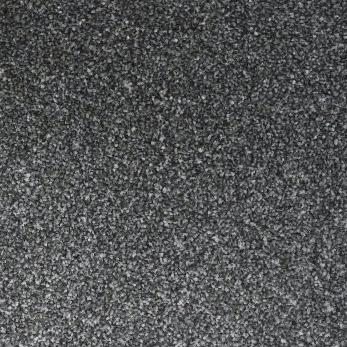 Flooring Wholesale Veneto Elite Steel Grey Carpet