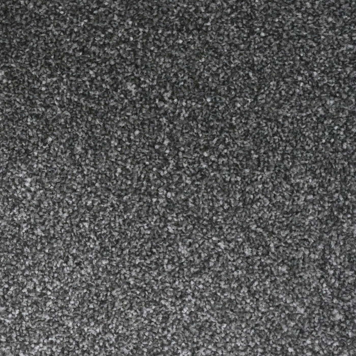 Flooring Wholesale Veneto Elite Steel Grey Carpet