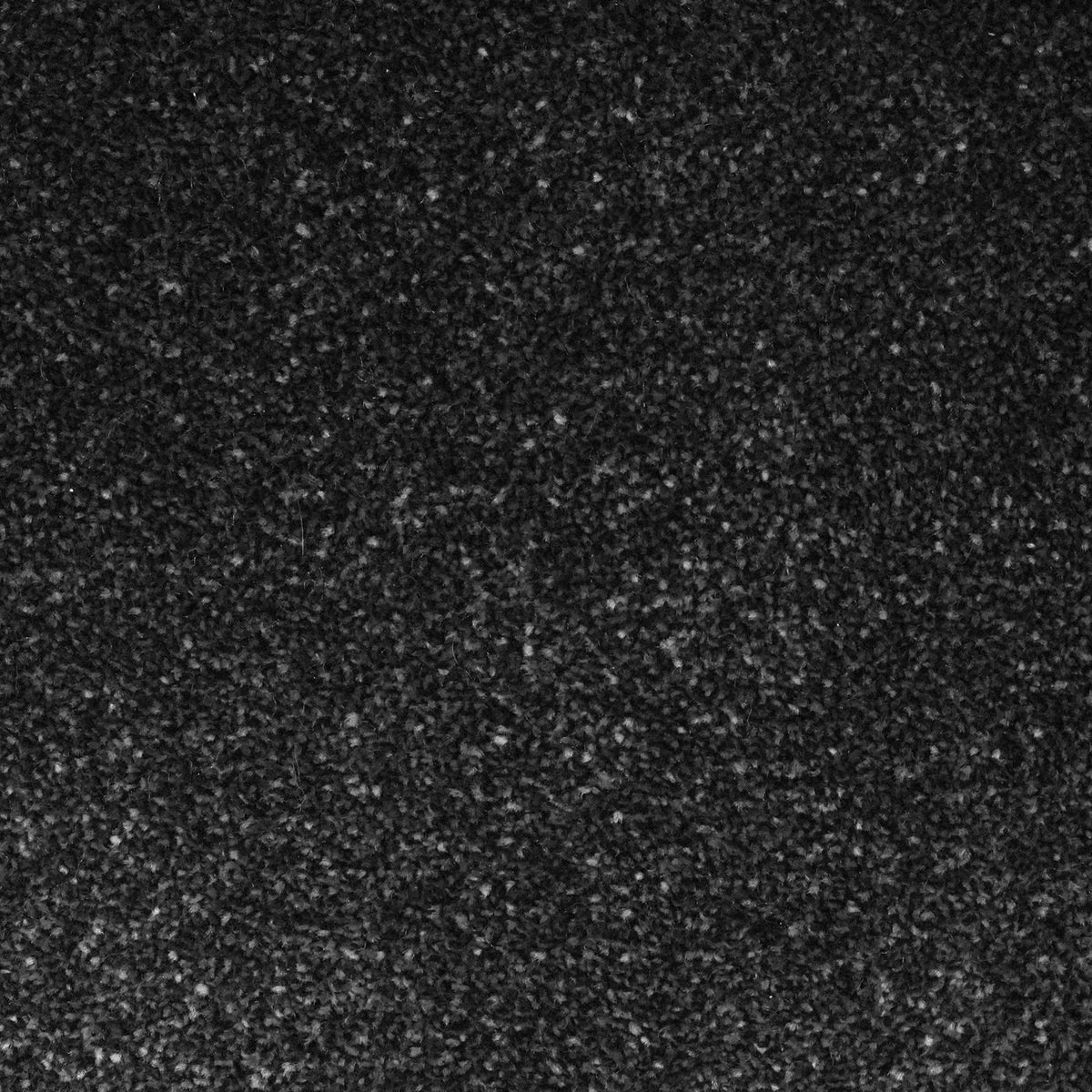 Flooring Wholesale Veneto Elite Storm Grey Carpet