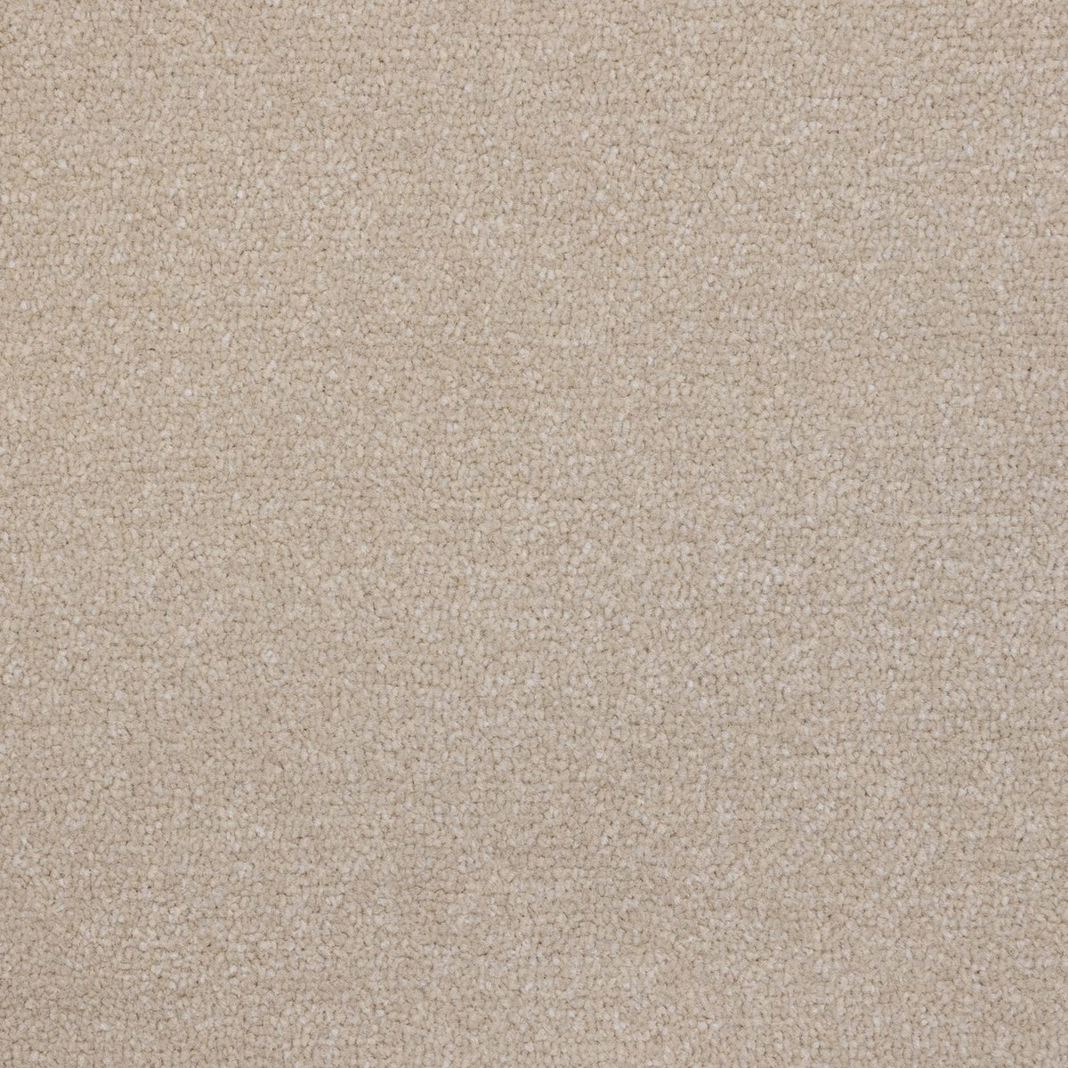 Flooring Wholesale Veneto Elite Straw Carpet