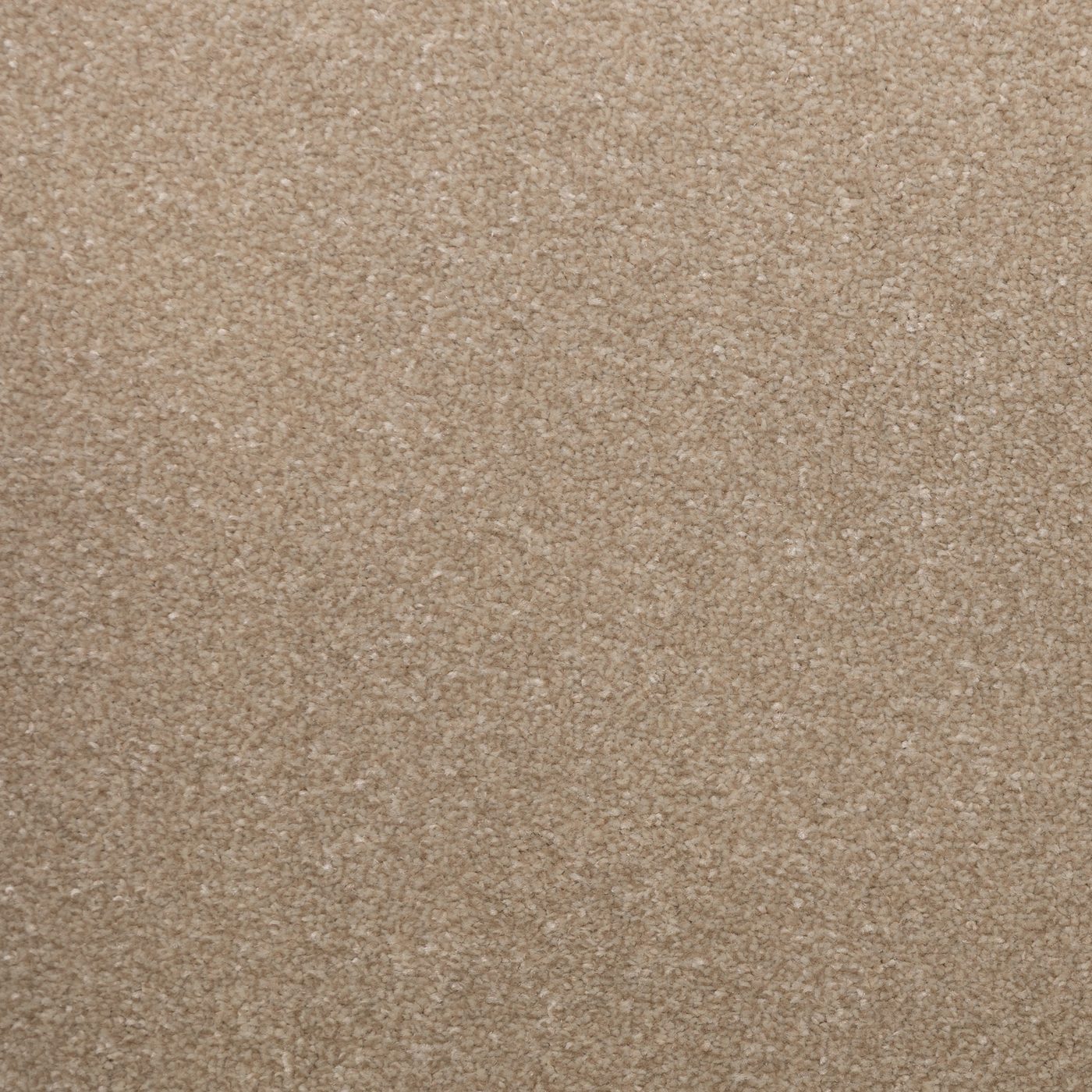 Flooring Wholesale Veneto Elite White Dove Carpet