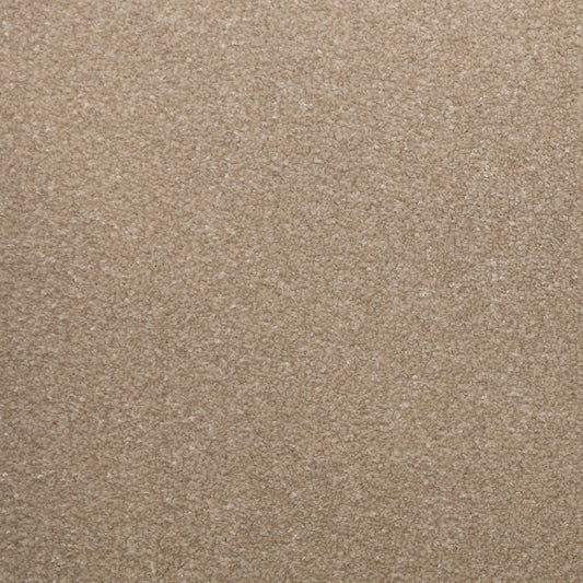 Flooring Wholesale Veneto Elite White Dove Carpet