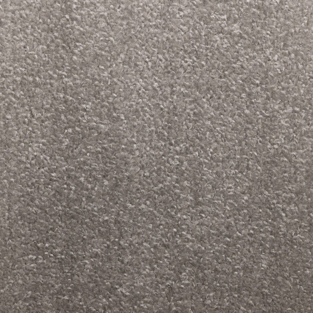 Flooring Wholesale Verona Alabaster Carpet