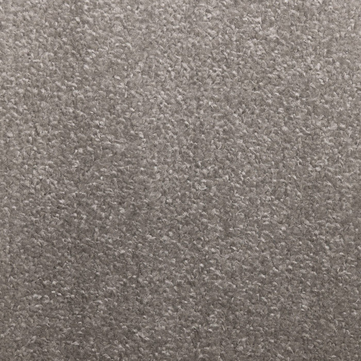 Flooring Wholesale Verona Alabaster Carpet
