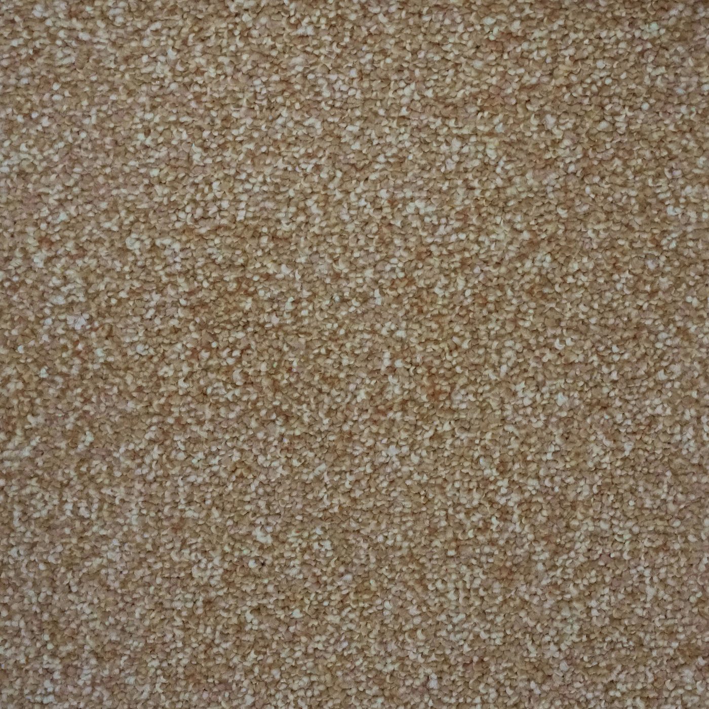 Flooring Wholesale Verona Biscuit Carpet