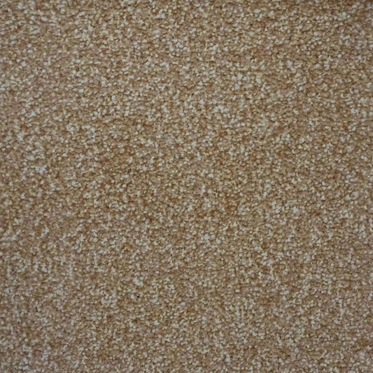 Flooring Wholesale Verona Biscuit Carpet