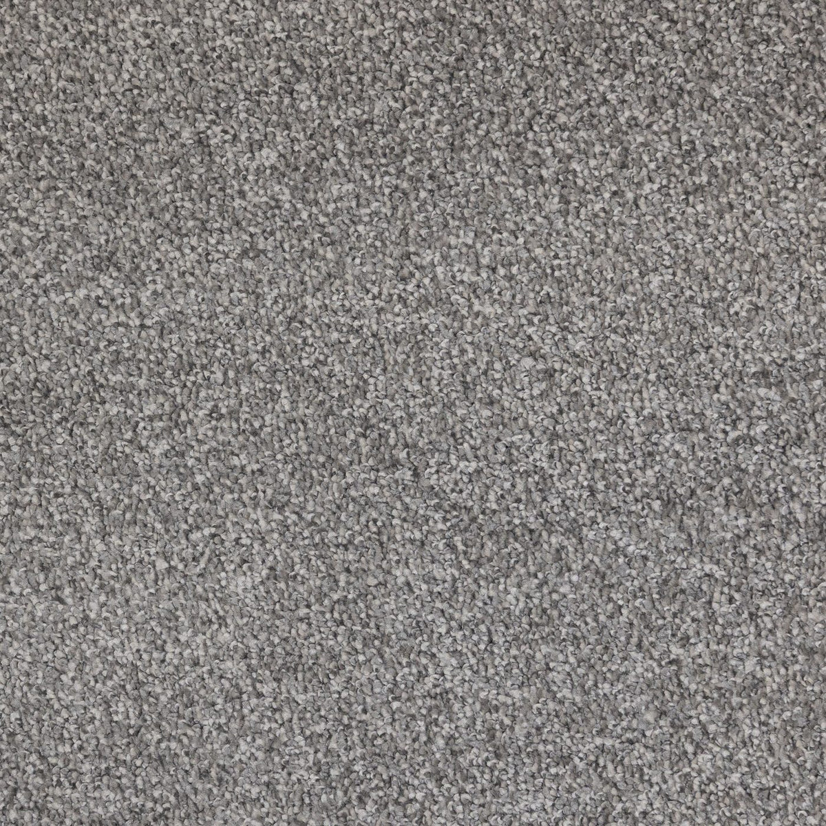 Flooring Wholesale Verona Chalice Carpet