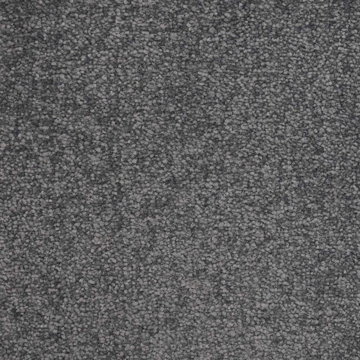 Flooring Wholesale Verona Cocoa Carpet