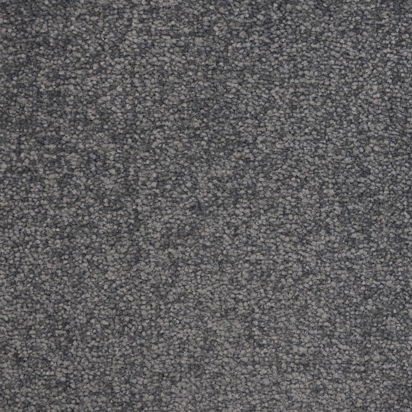 Flooring Wholesale Verona Cocoa Carpet
