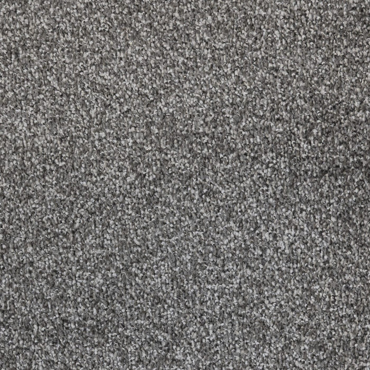 Flooring Wholesale Verona Cool Grey Carpet