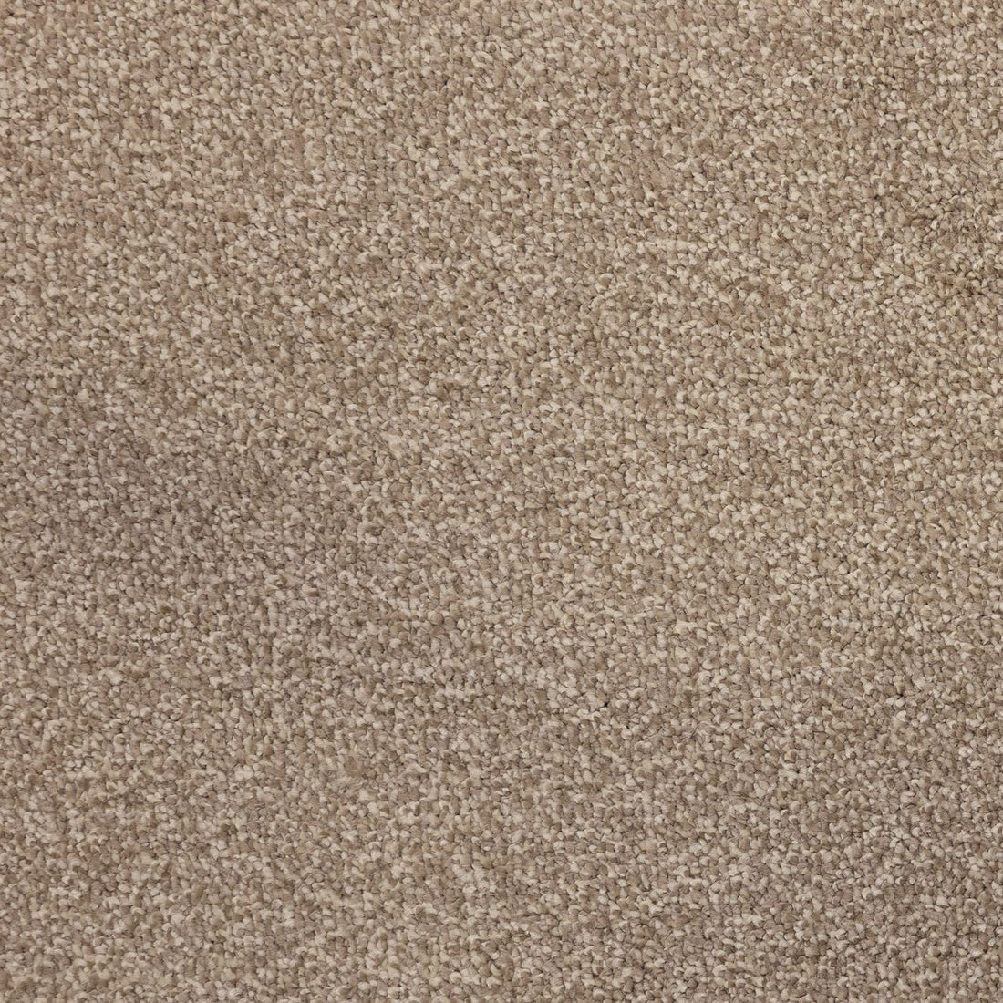 Flooring Wholesale Verona Ecru Carpet