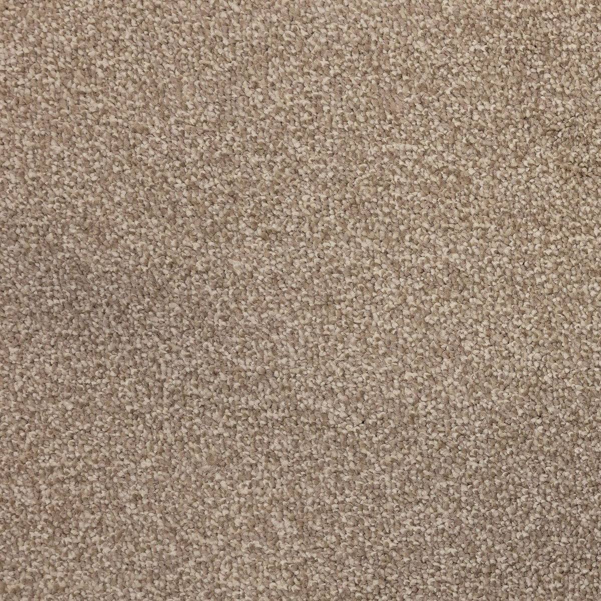 Flooring Wholesale Verona Ecru Carpet