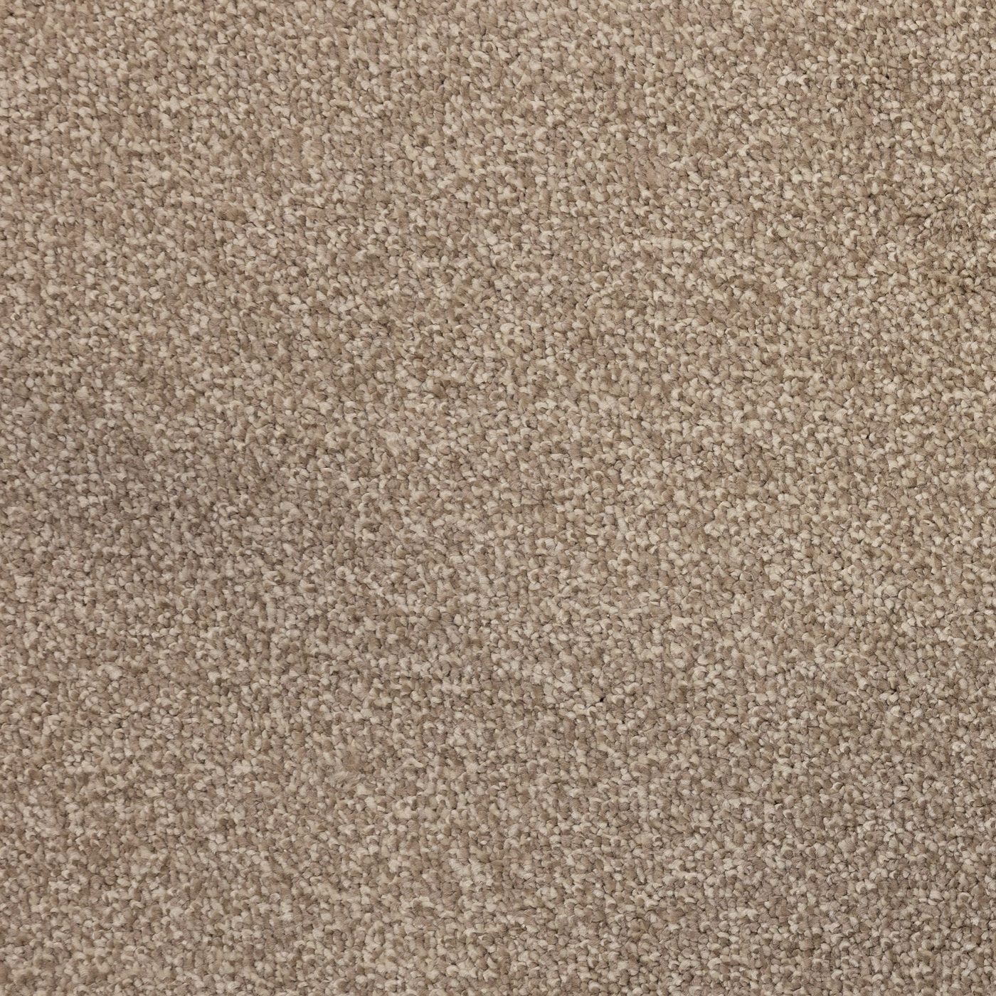 Flooring Wholesale Verona Ecru Carpet