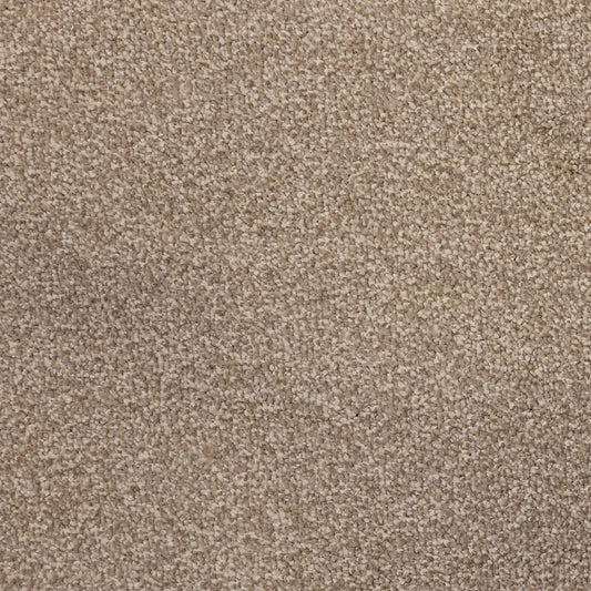 Flooring Wholesale Verona Ecru Carpet