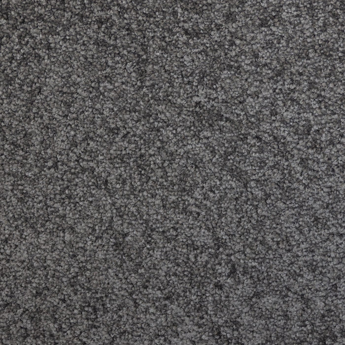 Flooring Wholesale Verona French Grey Carpet