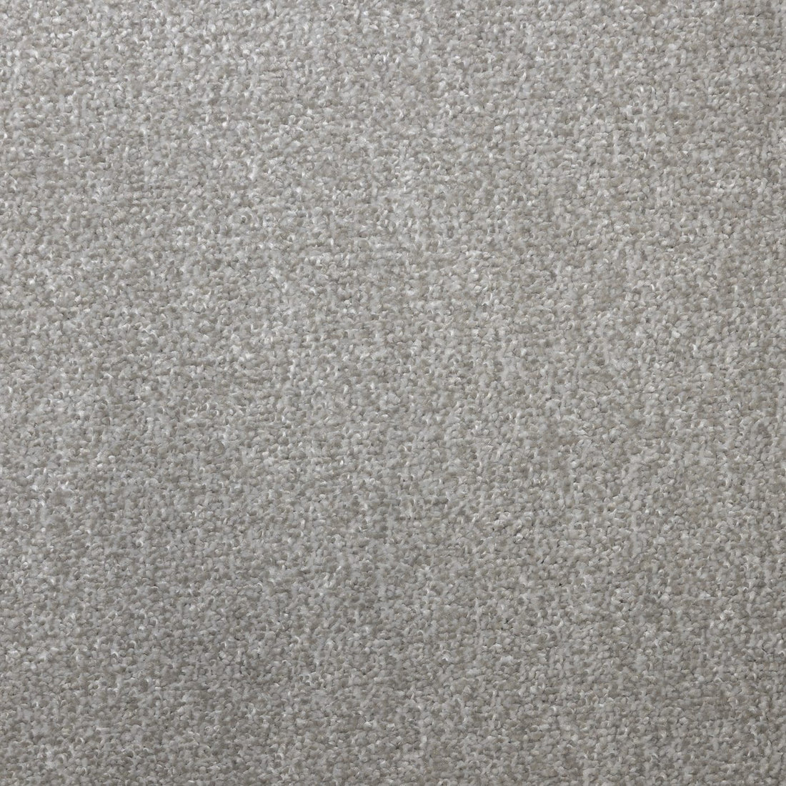 Flooring Wholesale Verona Grey Wisp Carpet