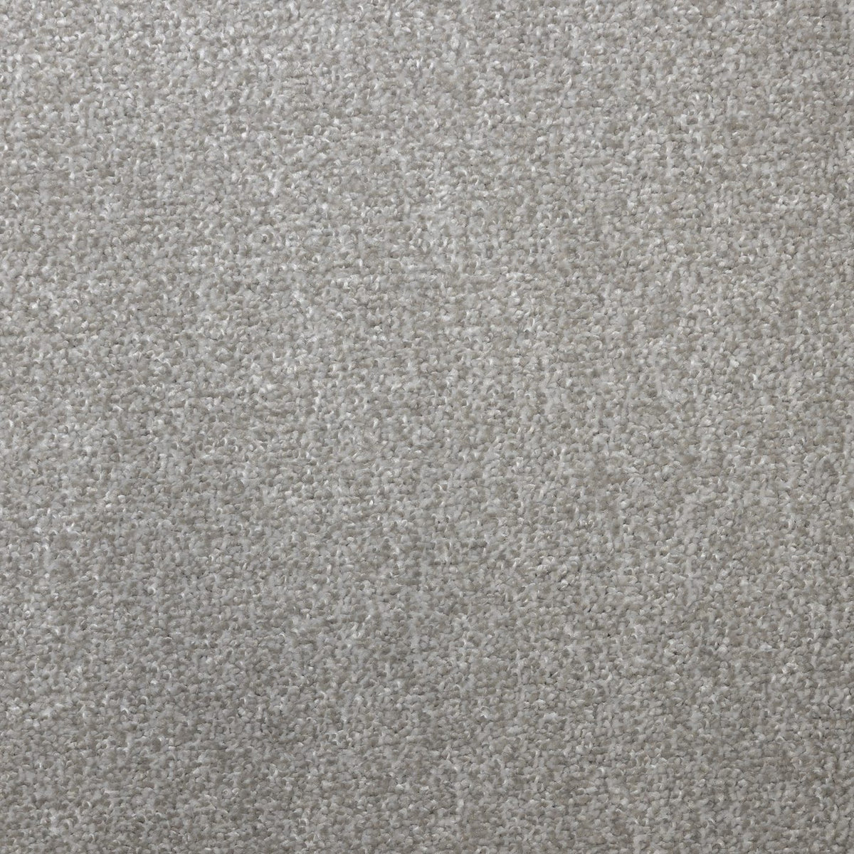 Flooring Wholesale Verona Grey Wisp Carpet