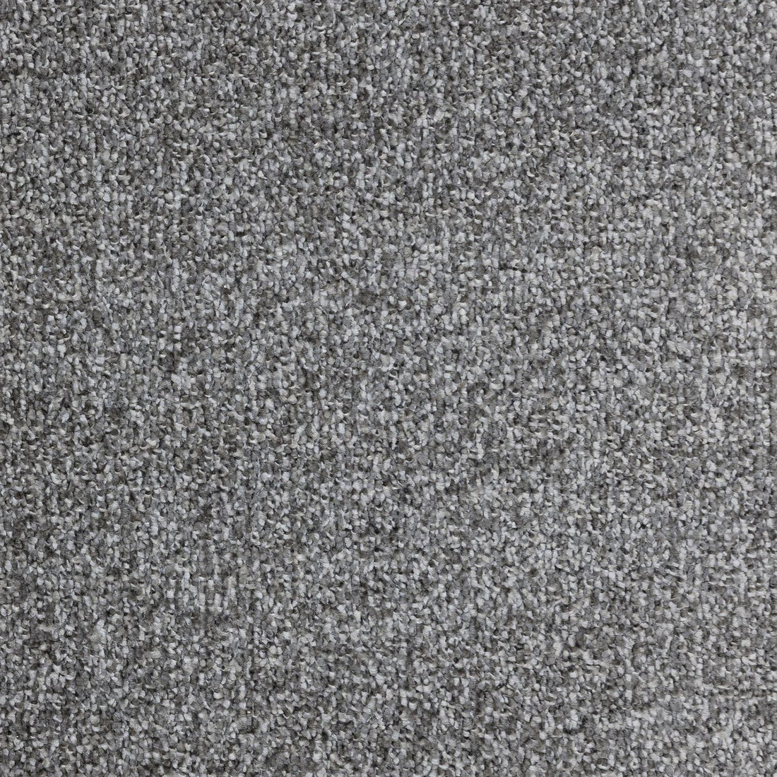 Flooring Wholesale Verona Gunpowder Grey Carpet