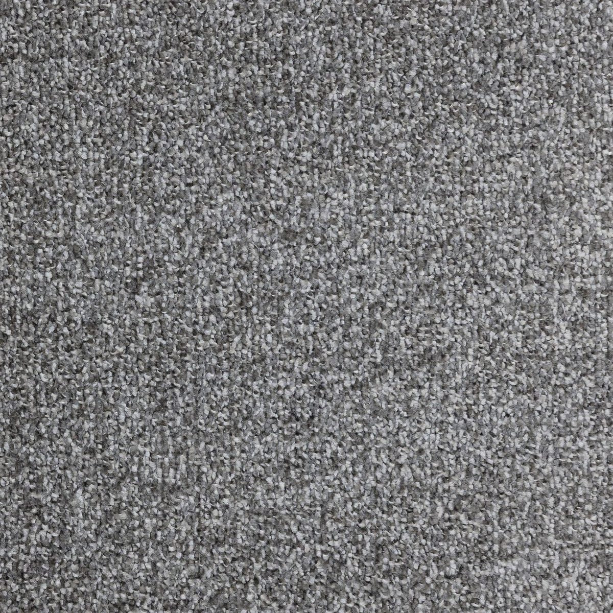 Flooring Wholesale Verona Gunpowder Grey Carpet