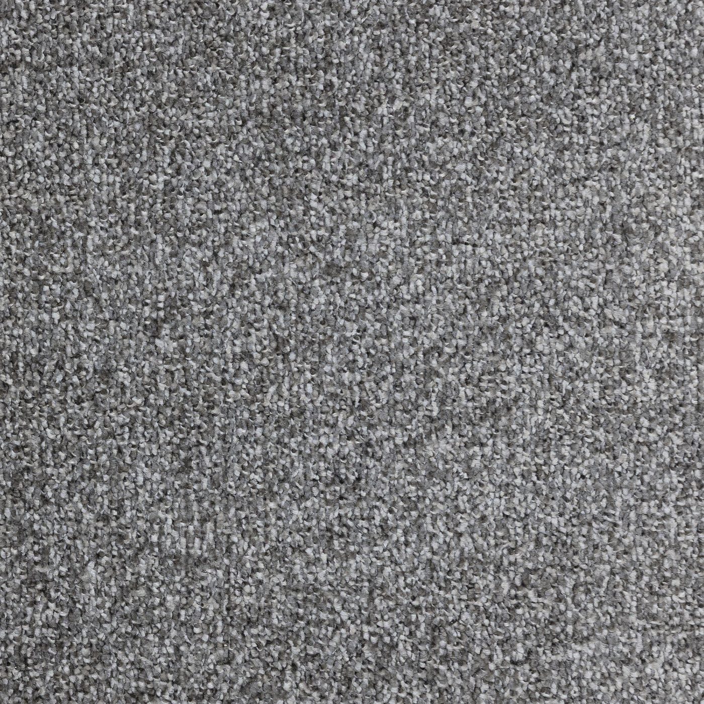 Flooring Wholesale Verona Gunpowder Grey Carpet