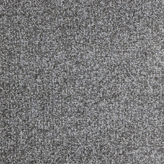 Flooring Wholesale Verona Gunpowder Grey Carpet