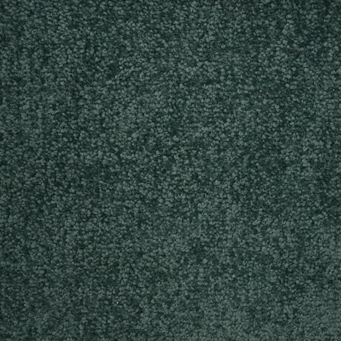 Flooring Wholesale Verona Teal Carpet