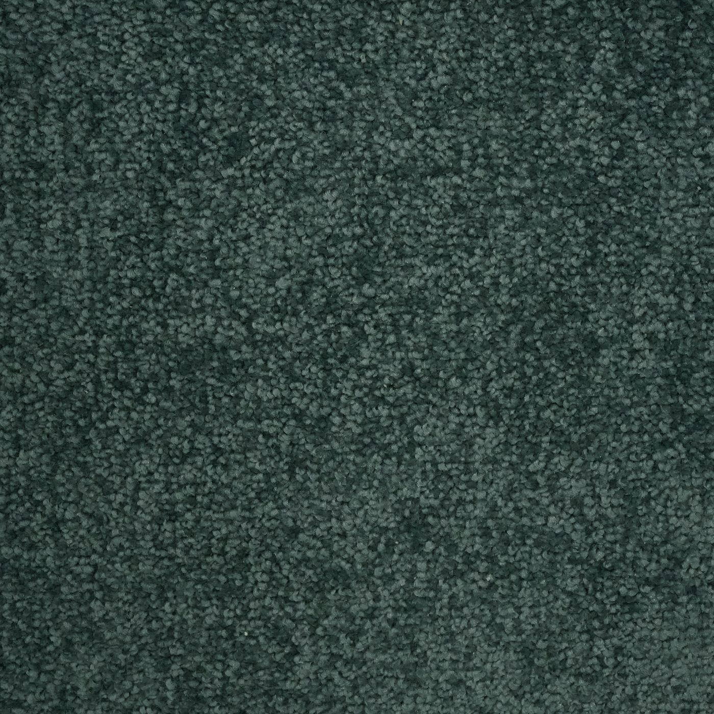 Flooring Wholesale Verona Teal Carpet