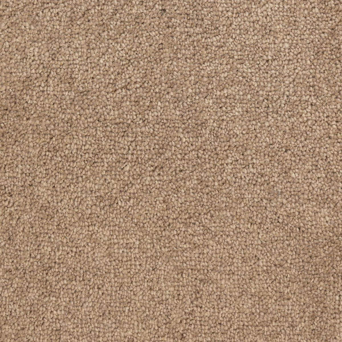 Flooring Wholesale Windsor 40oz Beige Carpet