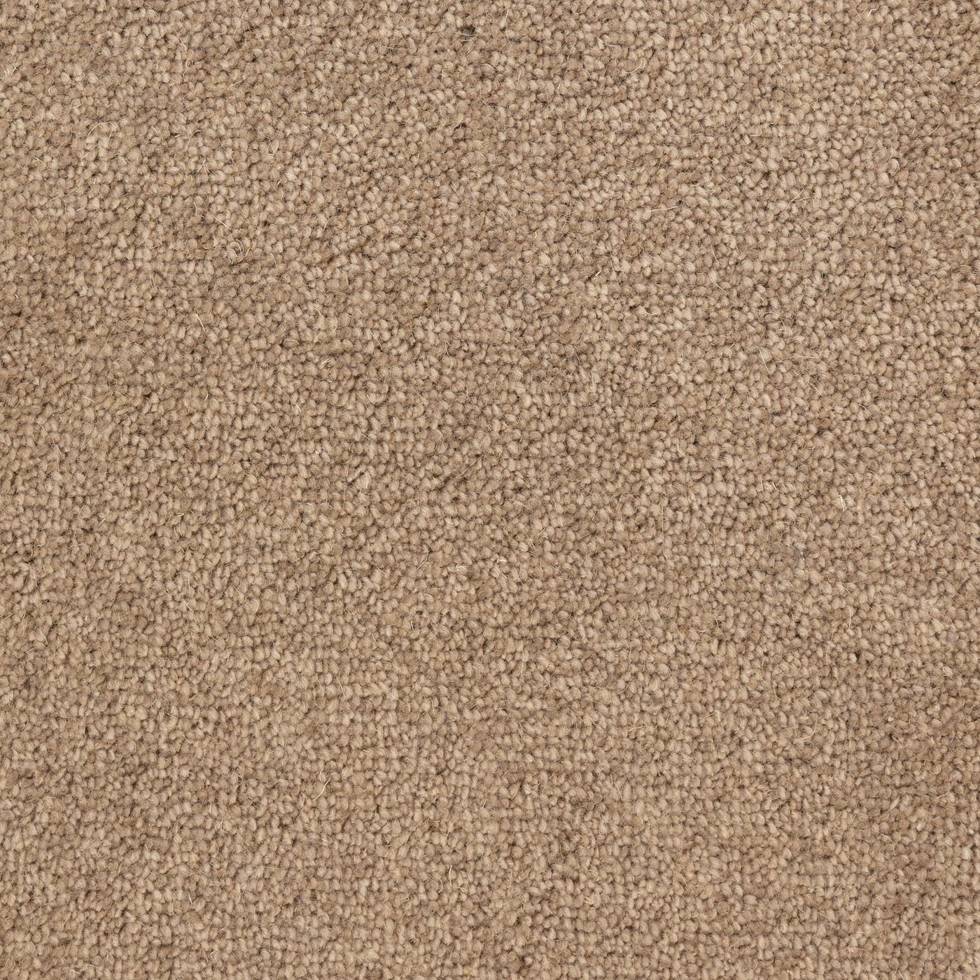 Flooring Wholesale Windsor 40oz Beige Carpet