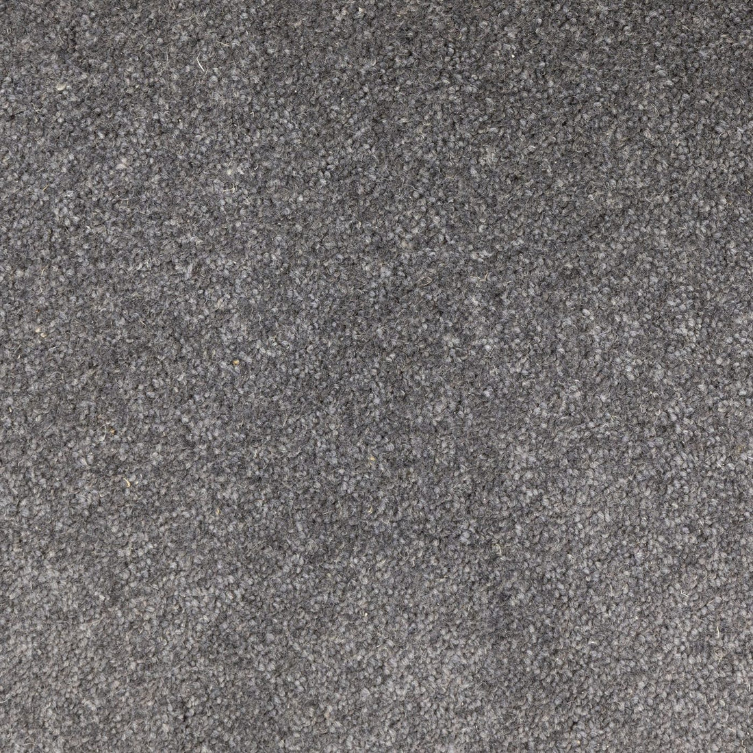 Flooring Wholesale Windsor 40oz Charcoal Carpet